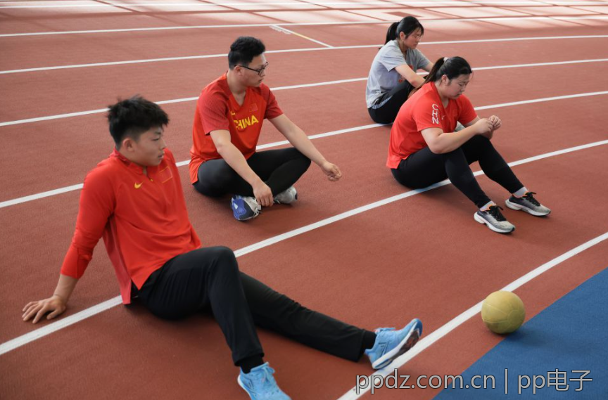深度解析pp电子app的设计理念与用户反馈
