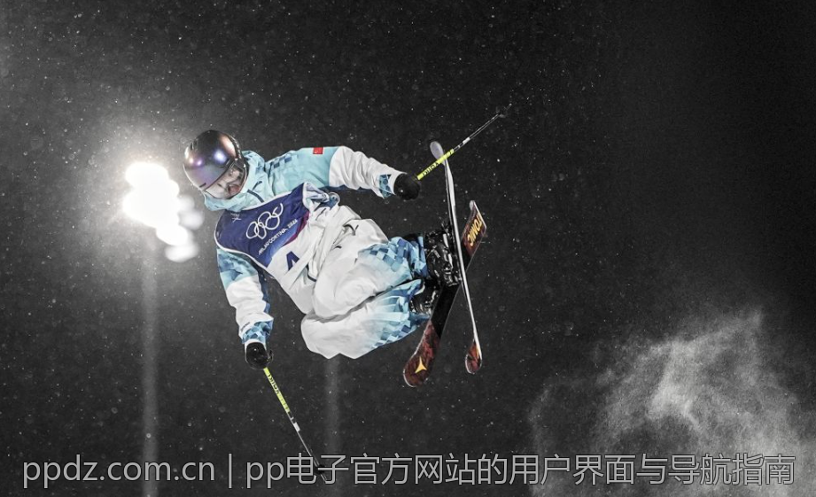 pp电子官方网站的用户界面与导航指南