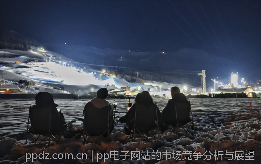 pp电子网站的市场竞争分析与展望