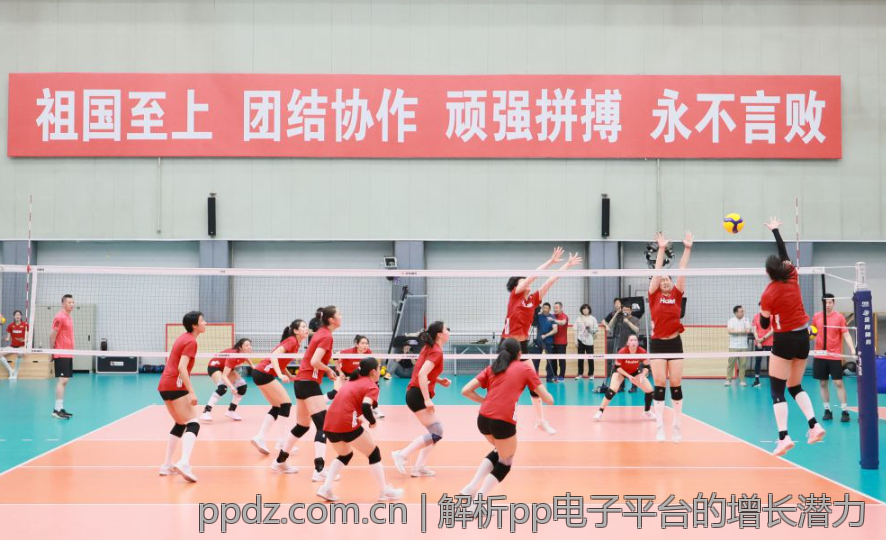 解析pp电子平台的增长潜力