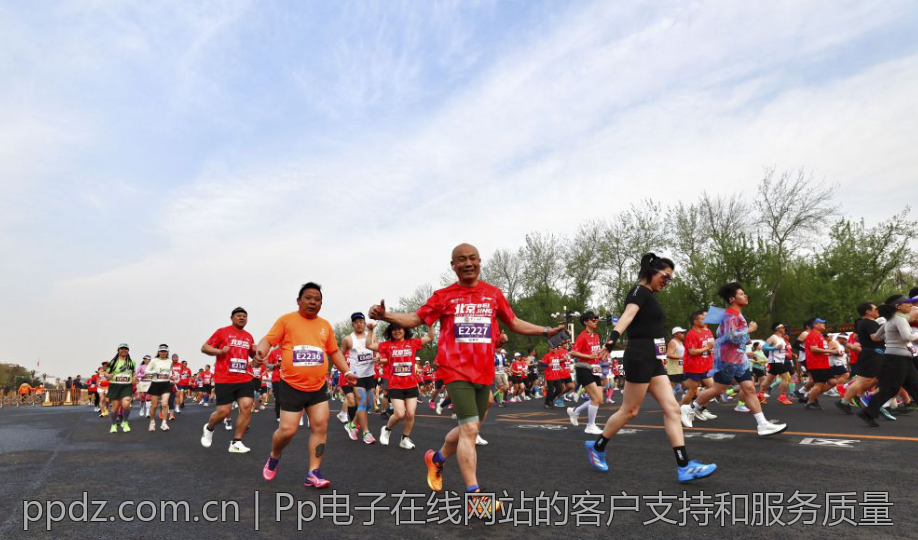 Pp电子在线网站的客户支持和服务质量
